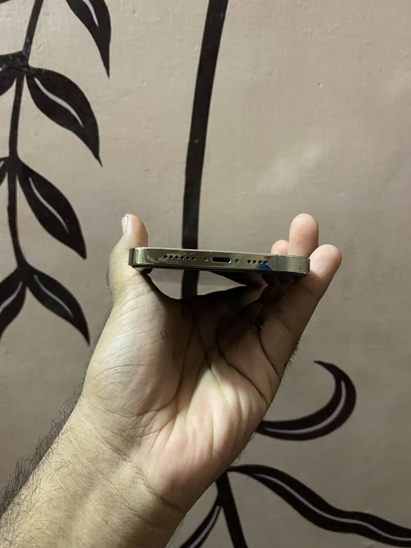 iPhone 12 pro max 4