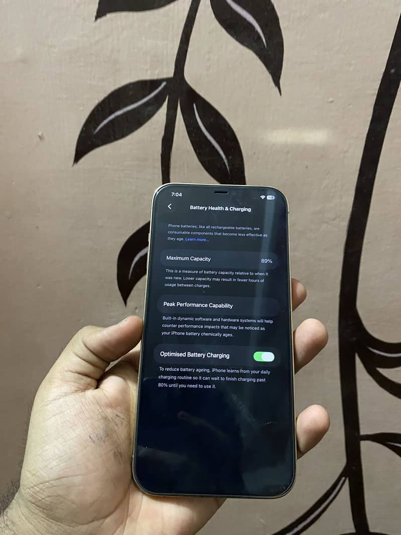 iPhone 12 pro max 5