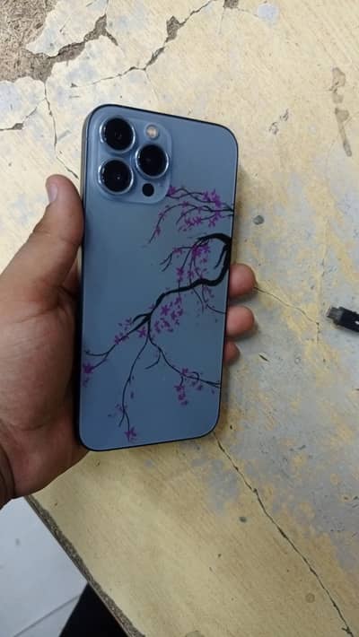 Apple iPhone 13 Pro Max