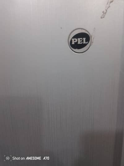 pel fridge