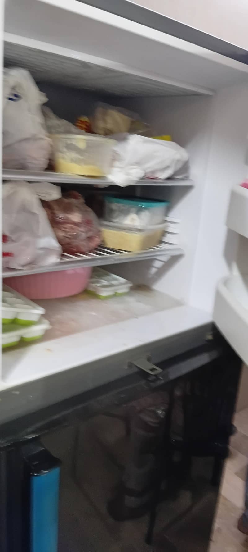 ORIENT REFRIGERATOR 5