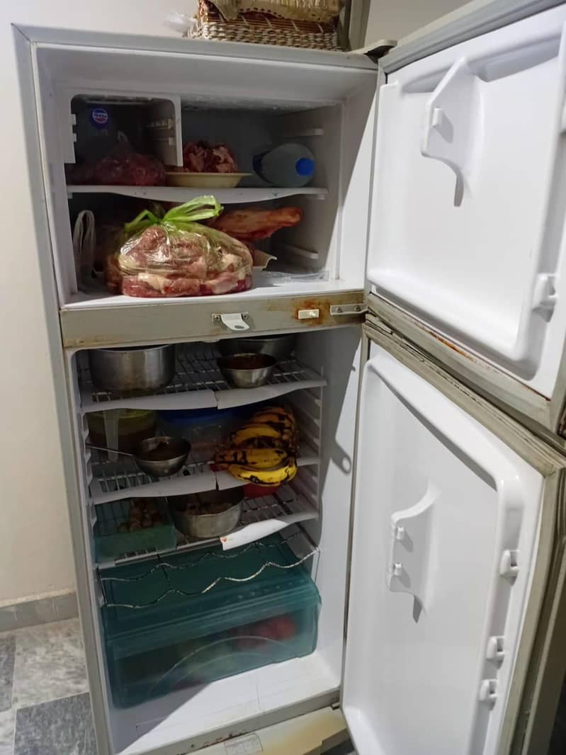 fridge 2