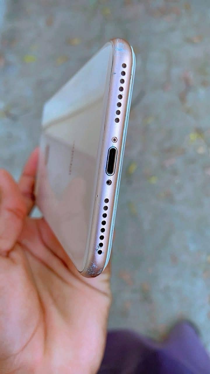 iPhone 8 Plus 3