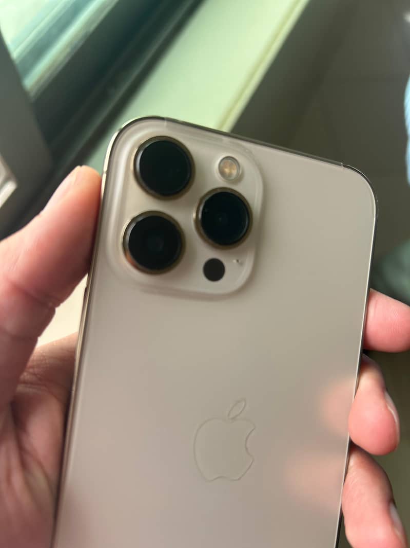 Apple iPhone 13 Pro Max 0