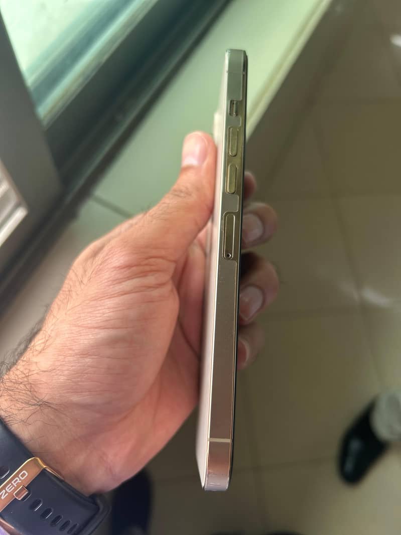 Apple iPhone 13 Pro Max 4