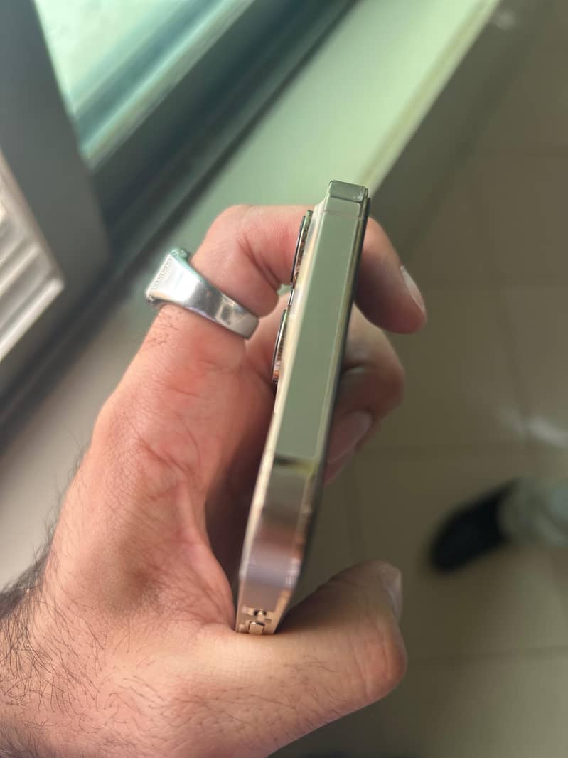 Apple iPhone 13 Pro Max 6