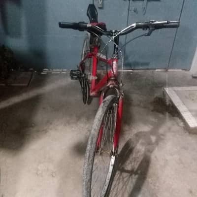 nice cycle