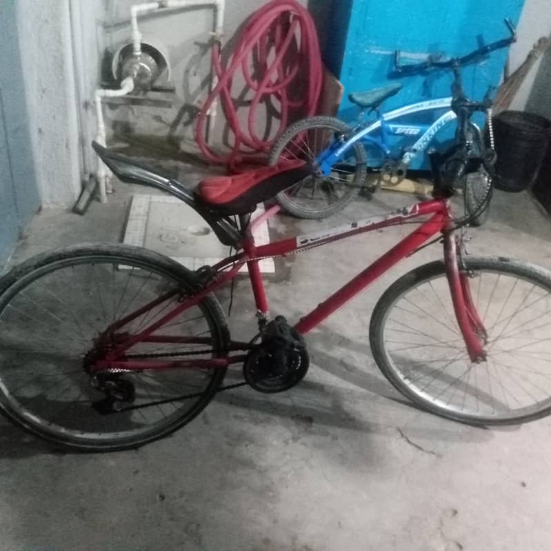 nice cycle 1
