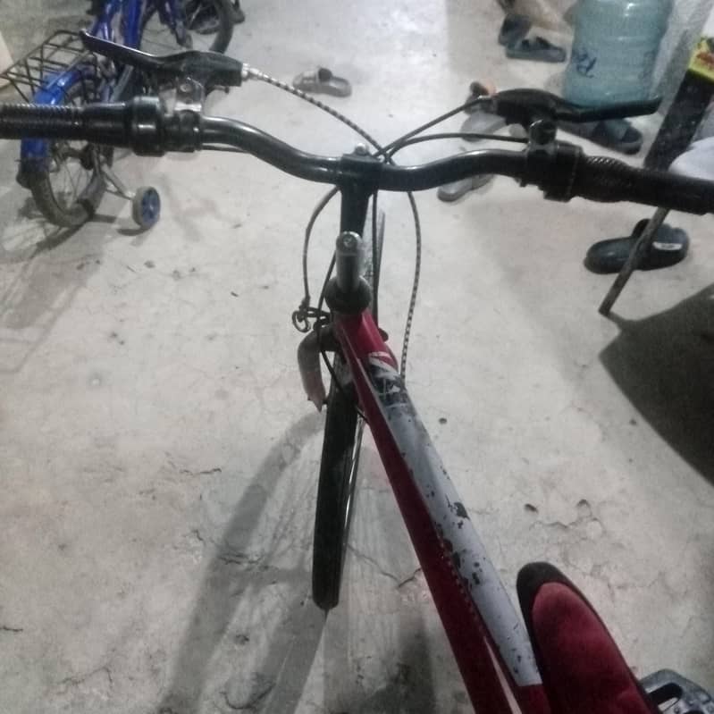 nice cycle 3