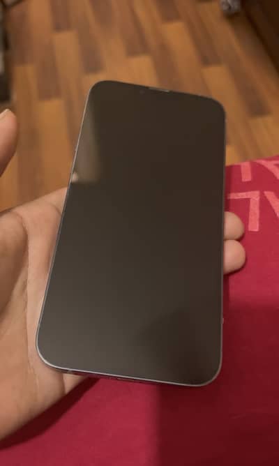 Apple iPhone 13 Pro Max
