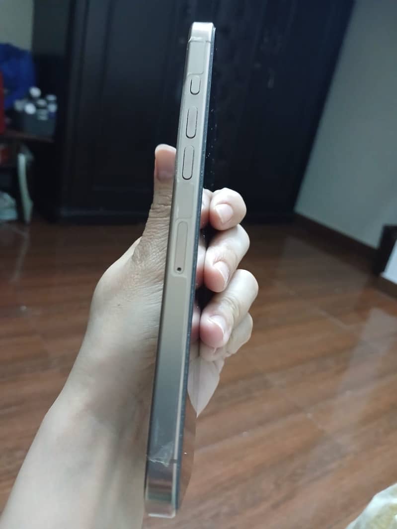 Apple iPhone 16 Pro Max 3