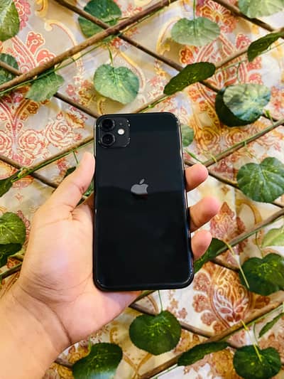 Apple iPhone 11 waterpack
