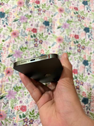 Iphone 13 pro max 128gb pta approved