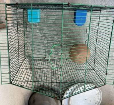 Pigeon cage