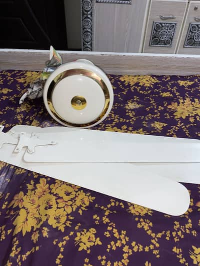 New 10 fans urgent