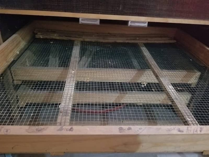 incubator 2