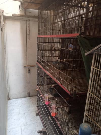 Cage.