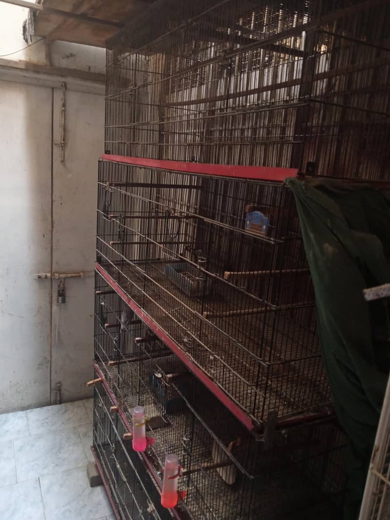 Cage. 1