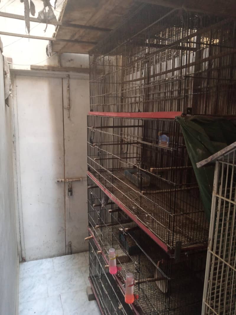 Cage. 2
