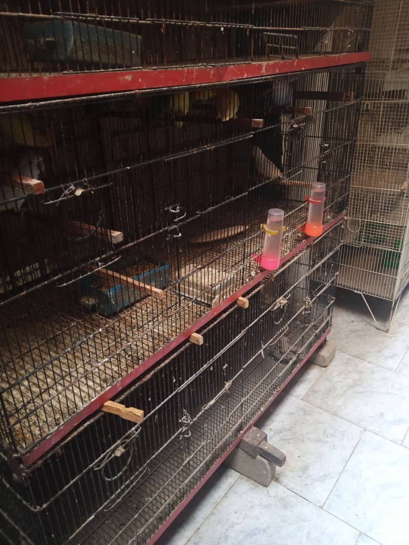 Cage. 3