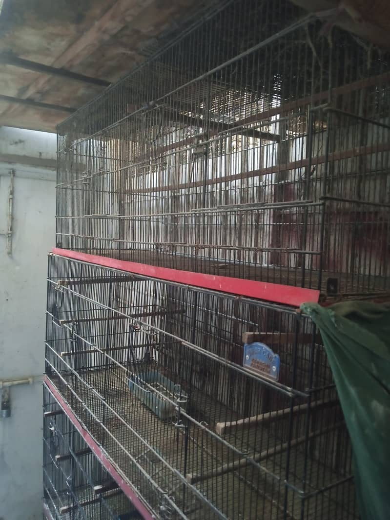 Cage. 4