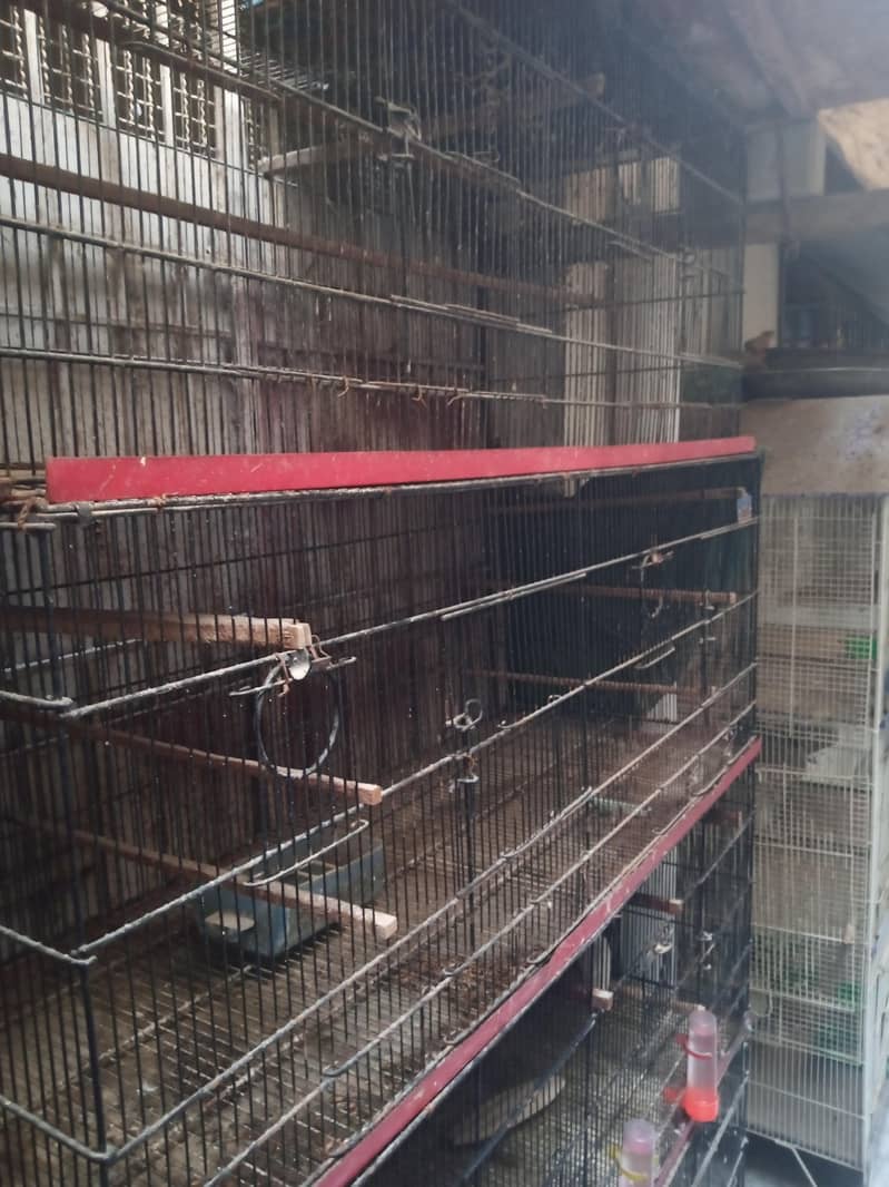 Cage. 5