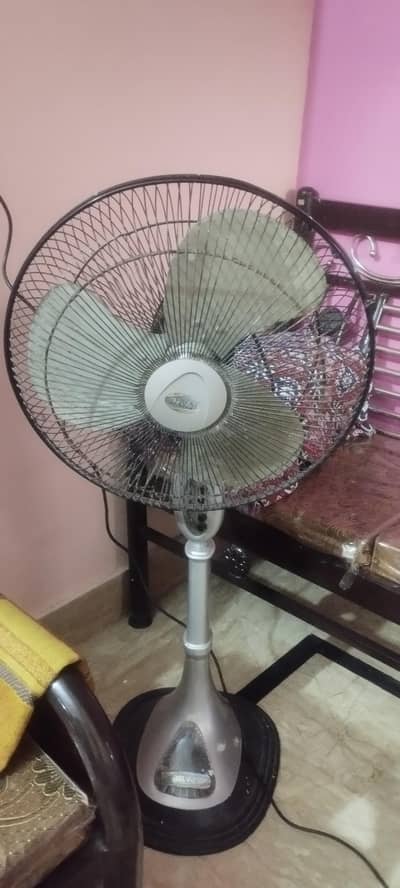 belvin stand fan