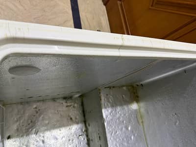 waves deep freezer.