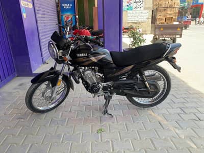 YBZ 2019 MODEL