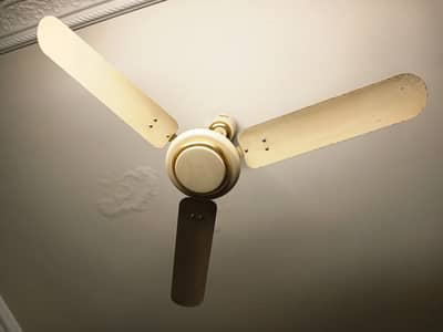 Royal Fan Non Intverter Working Perfectly
