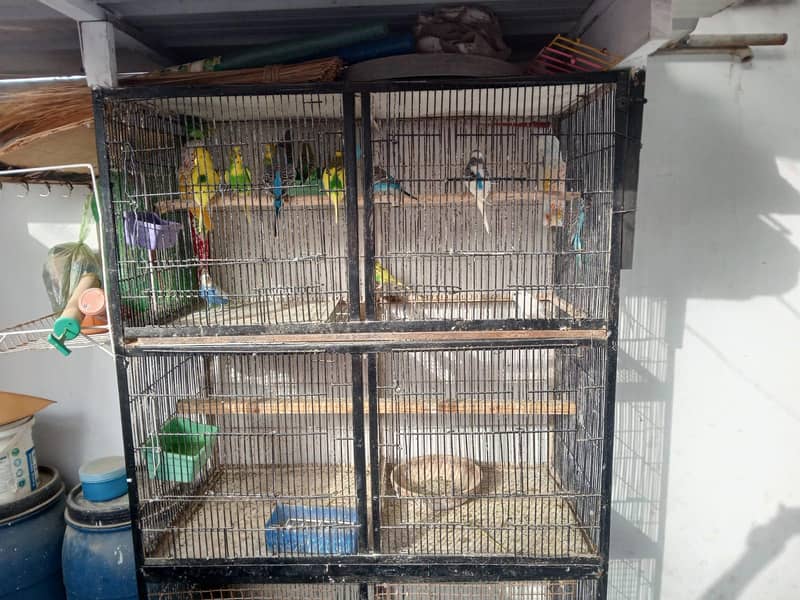 2 Portion Cage 2