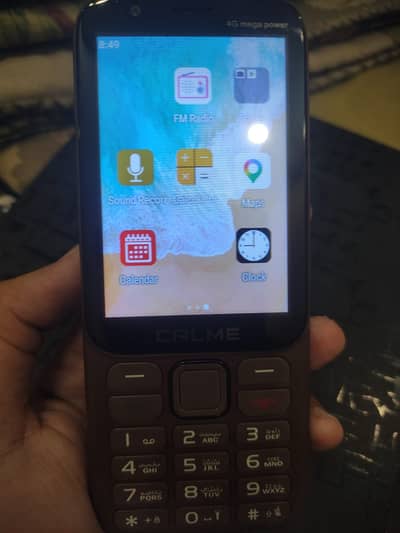 Calme 4G Platinum
