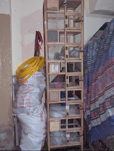 finches cage good condition