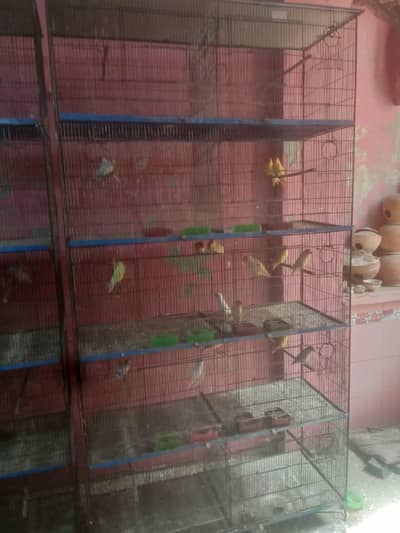 urgent sell good condition cages