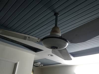Celling fan