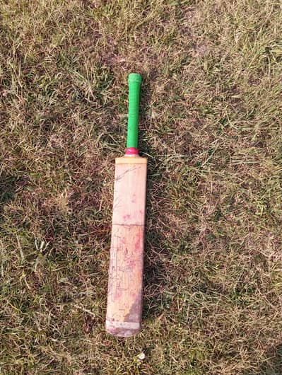 High-Quality Plain Hard-Ball Match Bat (Solid Cane Handle)