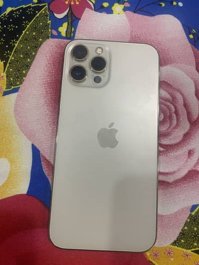 Apple iPhone 12 Pro Max