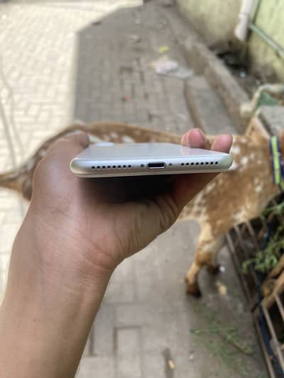 Apple iPhone 8 Plus