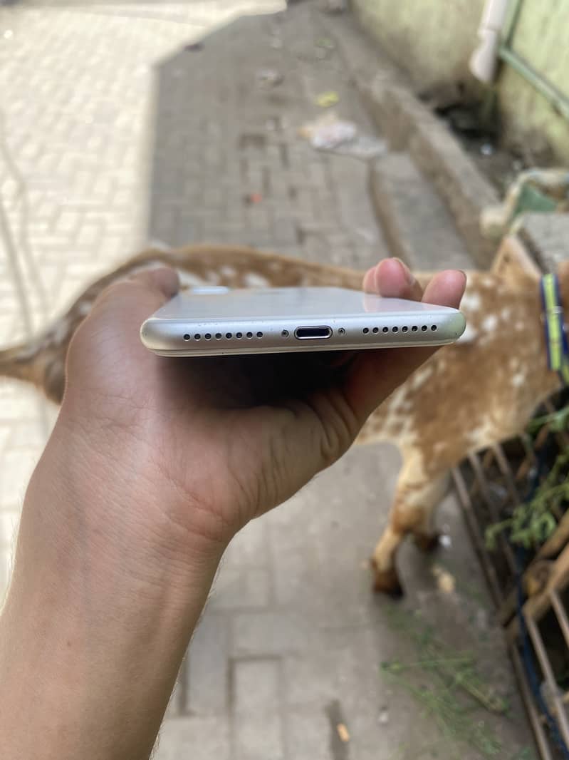 Apple iPhone 8 Plus 0