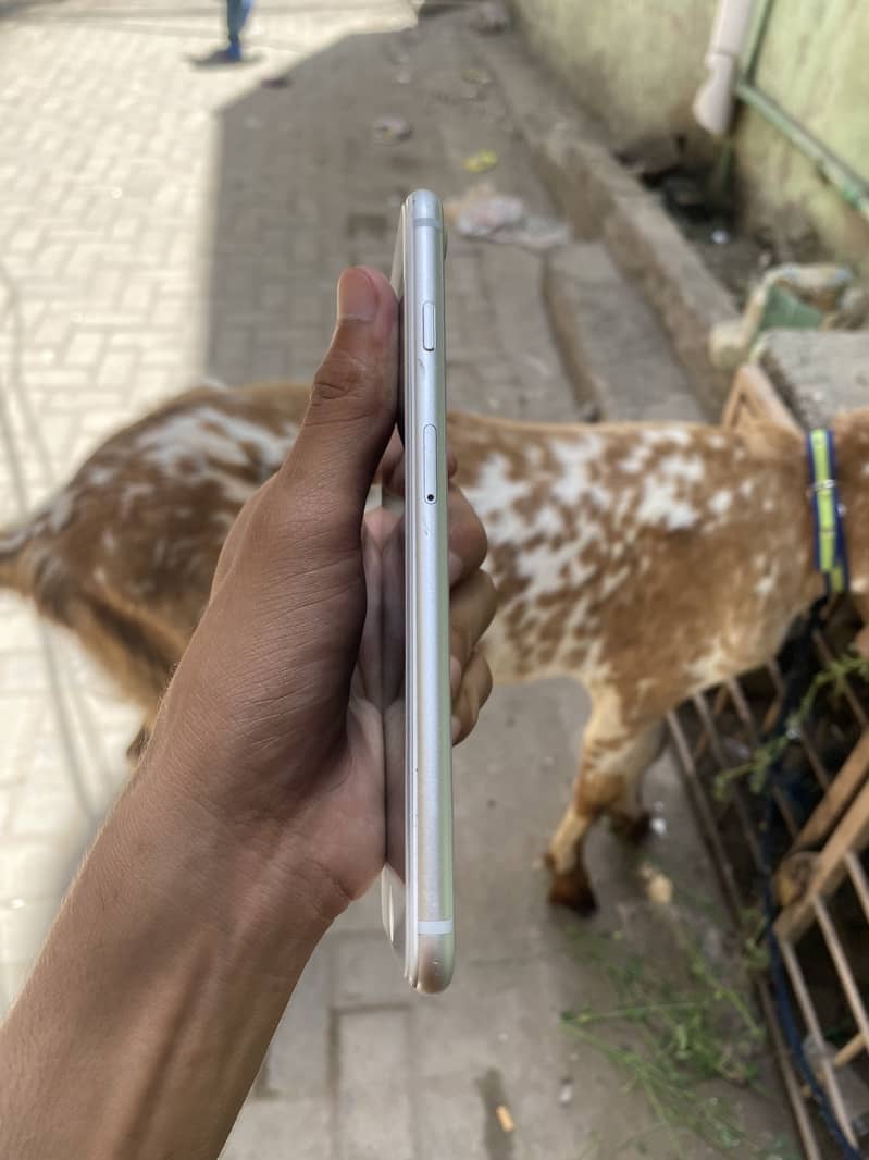 Apple iPhone 8 Plus 1