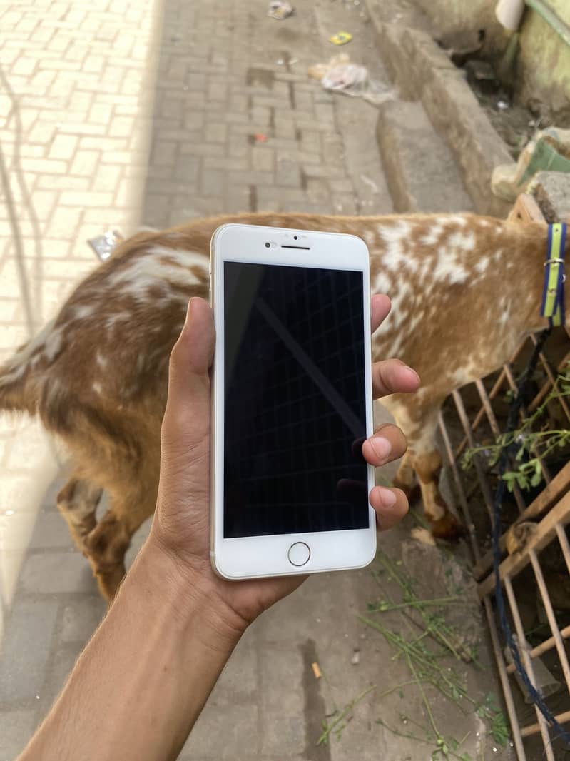 Apple iPhone 8 Plus 3