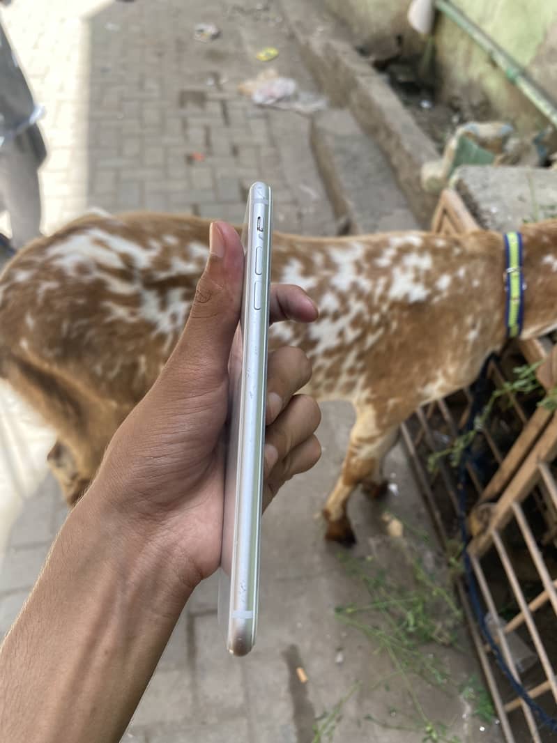 Apple iPhone 8 Plus 4