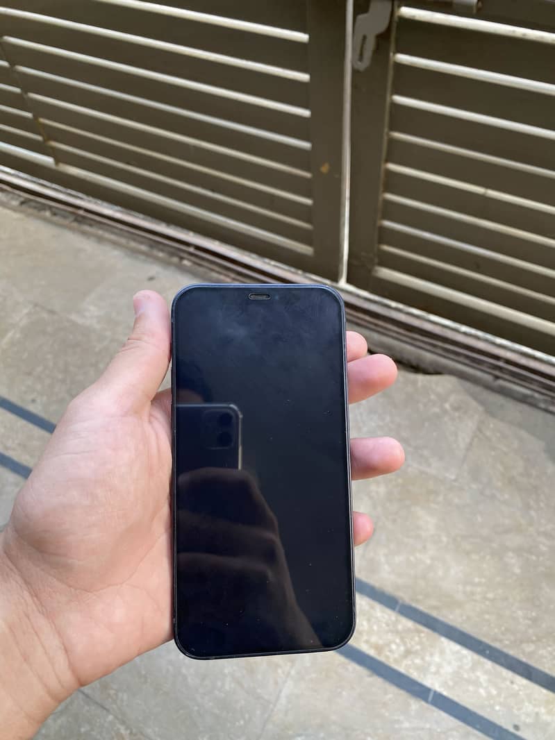 Apple iPhone 12 9