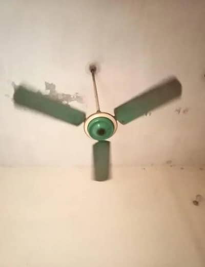 celling fan