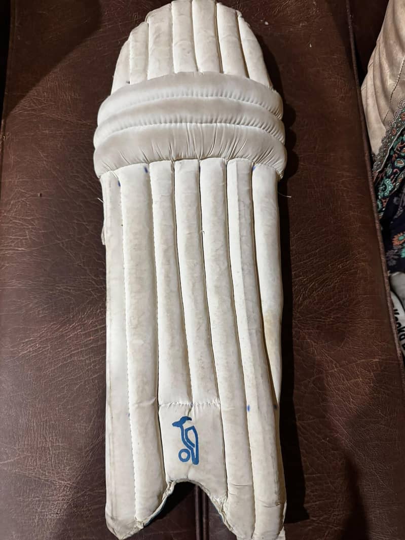cricket kit 1
