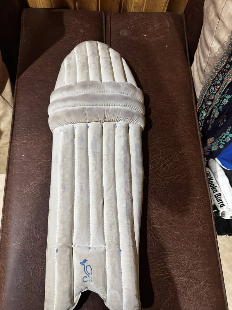 cricket kit 2