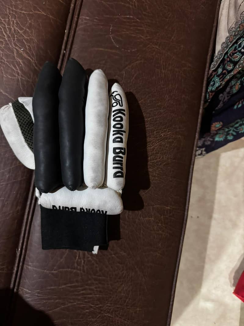 cricket kit 4