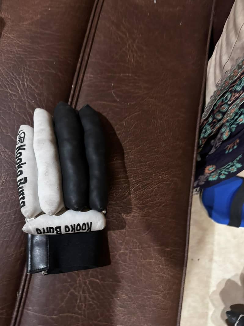 cricket kit 5