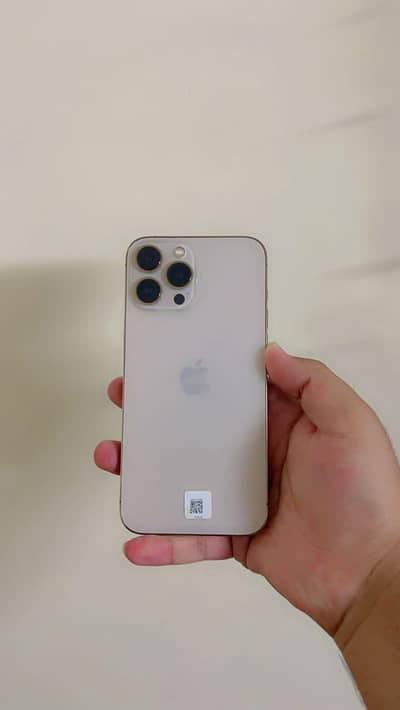 Iphone 13 Pro Max PTA 1 TB Waterpack
