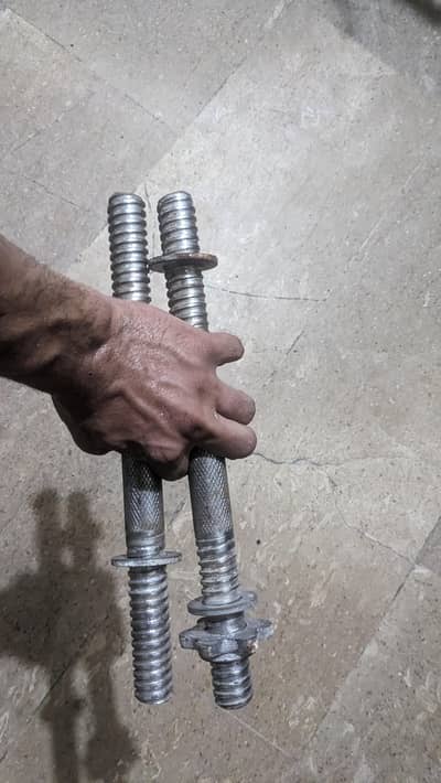 dumble bars pair
